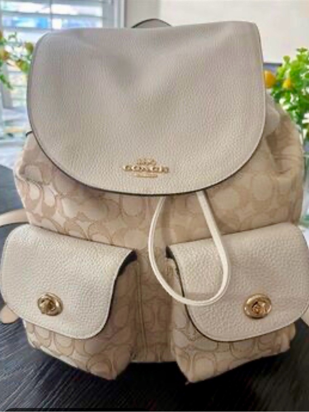 Coach Chalk & Signature Canvas Mini Backpack